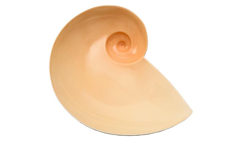 Moon Snail Bowl